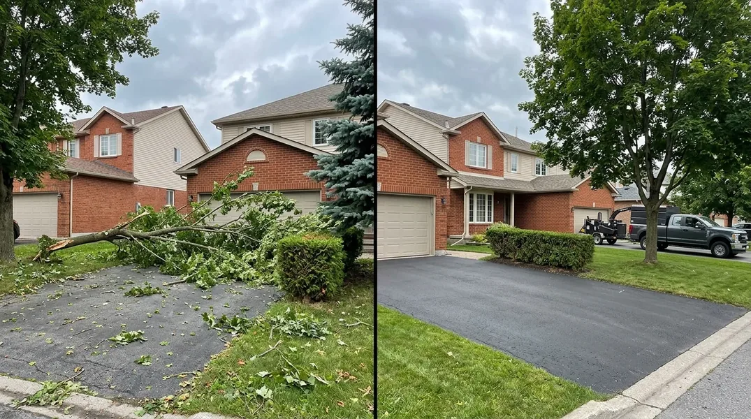 Ice Storms and Wind: Protecting Your Ottawa Trees